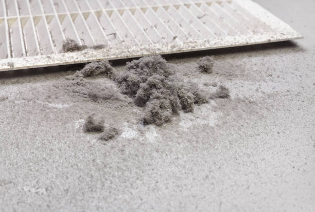 Best Home Air Vent Cleaning  in South San Jose Hills, CA